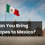 Can You Bring Vapes to Mexico