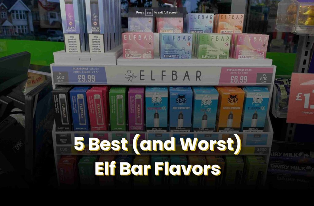 5 Best (and Worst) Elf Bar Flavors