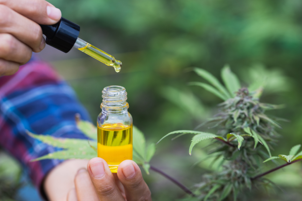 Ideal Shelf Life of CBD Vape Oil