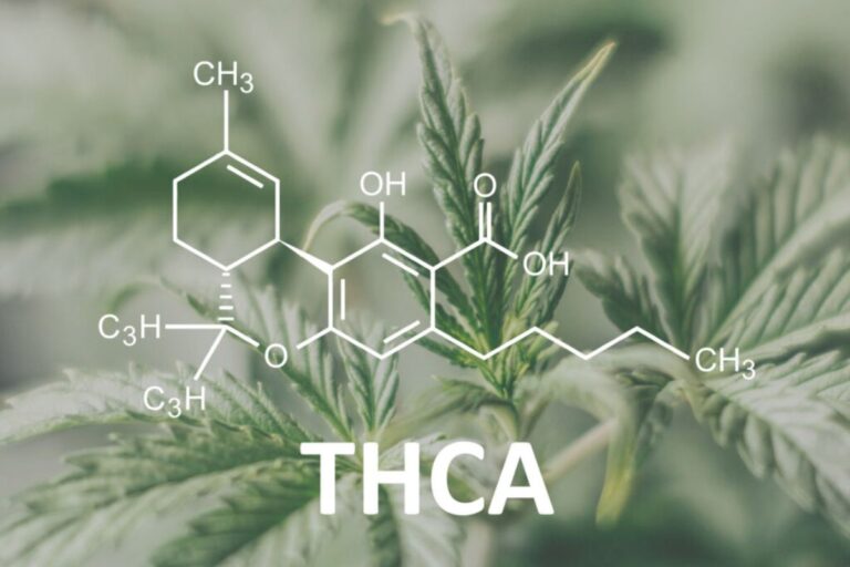 What to Look for in Low-Cost THCA Products to Ensure Quality and Safety